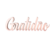 Palavra Gratidão 3D - comprar online