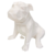 Pet Dog Bulldog Inglês - comprar online