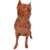 Pet Dog Pitbull na internet