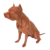 Pet Dog Pitbull