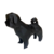 Pet Dog shih-tzu - YAAH CUBE