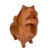 Pet dog Spitz
