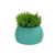 Vaso Smooth
