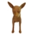 Pet Dog Pinscher na internet