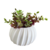 Vaso Onix - comprar online