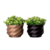 Vaso Mouth