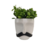 Vaso bigode