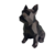 Dog Bulldog Francês Low Poly