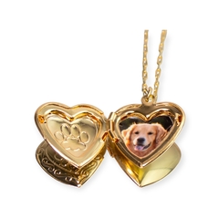 Relicário Pet - comprar online