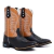 Bota Texana Masculina absolut carrapeta na internet