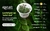 PLANTA AQ LUDWIGIA SUPER MINI RED (SP. RED) na internet