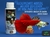 PH+ ALCALINIZANTE MBREDA 120 ML - comprar online