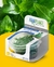 Imagem do PLANTA AQ STAUROGYNE REPENS