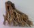 PLANTPRO OCTOPUS BONSAI AM