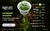 PLANTA AQ LUDWIGIA ARCUATA - comprar online