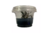 PLANTA AQ BUCEPHALANDRA BROWNIE PHOENIX (IN VITRO) - comprar online