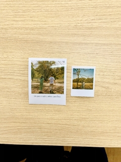 Mini Polaroid - comprar online