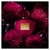 Her Secret Temptation Antonio Banderas Perfume Feminino EDT - Maddera Perfumes e Cosméticos