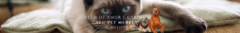 Banner da categoria Pet