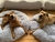 Cama para cachorros e gatos