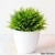 Plantas decorativas artificiais, para todo ambiente