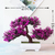 Plantas decorativas artificiais, estilo Bonsai