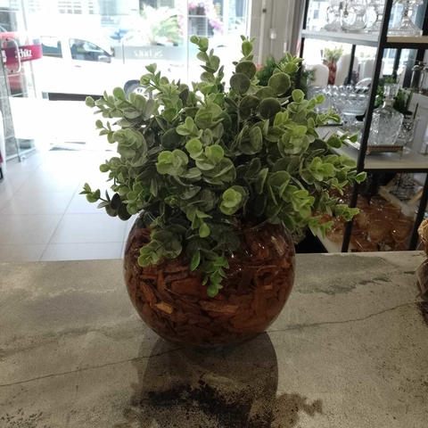 Arranjo de Pick de Eucalipito em Vaso de vidro com cascas