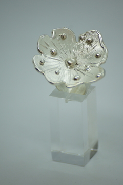 Anillo Tiana