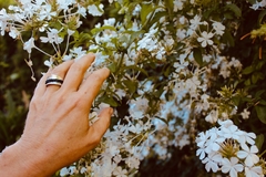 Anillo Anticlastic - comprar online