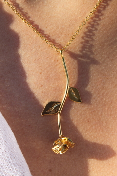 Collar Rose