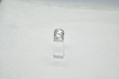Anillo Crater