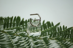 Anillo Theo