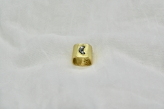 Anillo Lunar