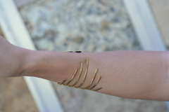 Pulsera Águila - comprar online