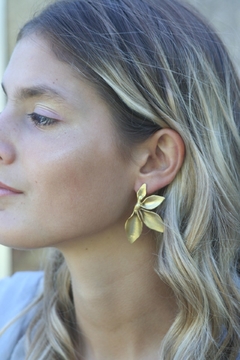 Aros Brote - Karen Grant