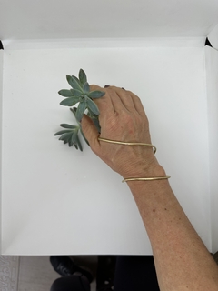 Pulsera Witta - comprar online