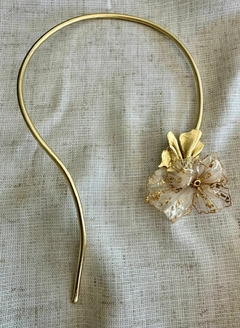 Collar Carson en internet