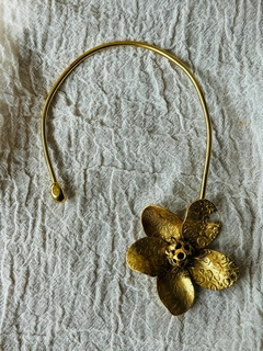Collar Alexa - comprar online