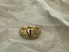 Anillo Remi