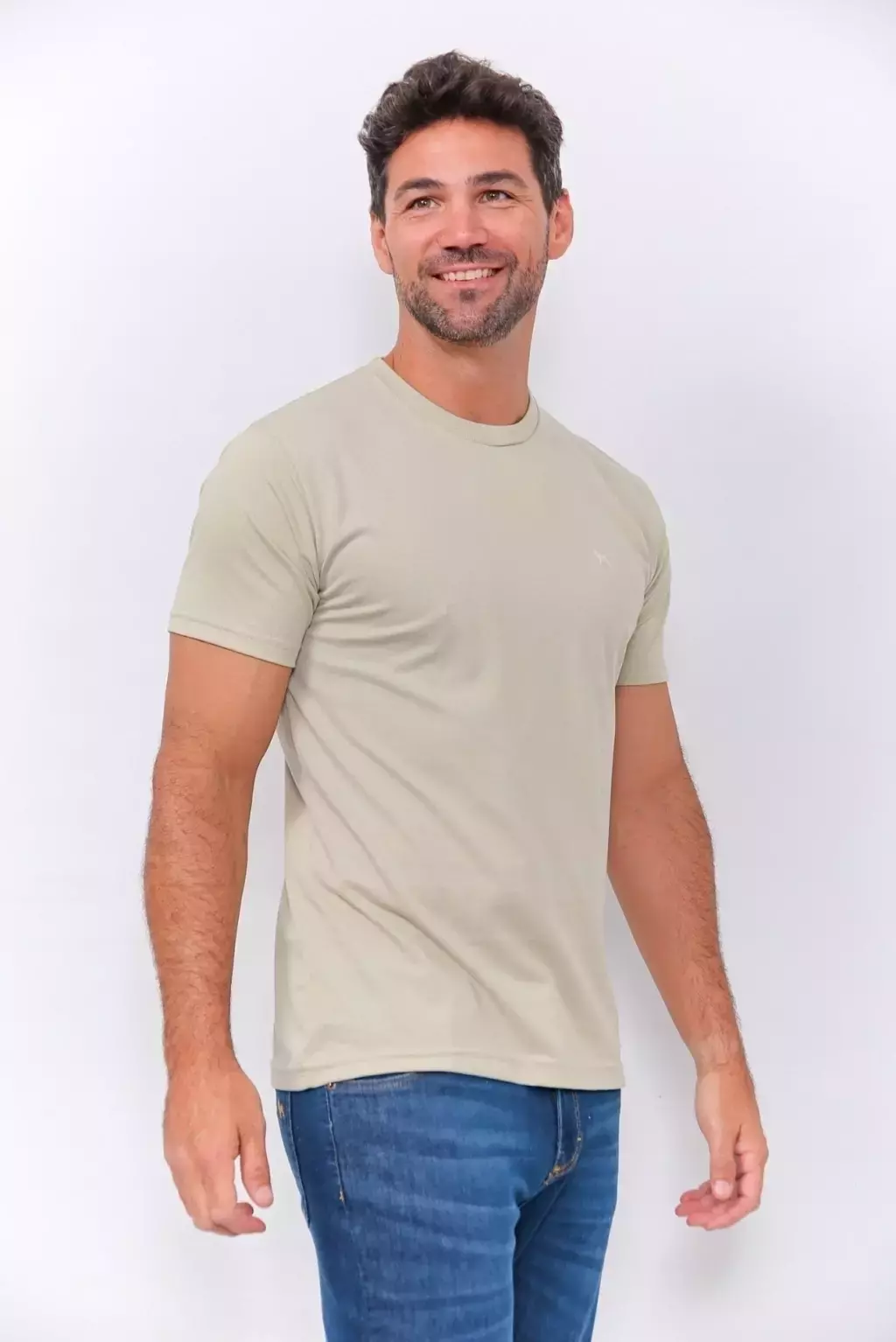 REMERA BASICA CEMENTO BRAVO.