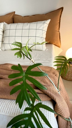JUEGO DE CAMA NIDO CANELA en internet