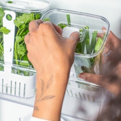 ORGANIZADOR DE TEMPEROS CLEAR FRESH 2,3L - comprar online
