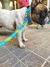 Collar Tano 25mm