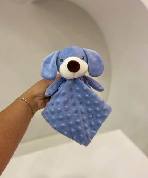 NANINHA 0,30X0,30 LACO MINHA PRIMEIRA NMP - CAO AZUL