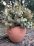 Cachepot Rosto Terracota - Florí