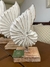 Concha Nautilus Decor (c/ base)