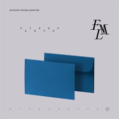 SEVENTEEN - 10th Mini Album [FML] en internet