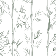 Empapelado Bamboo