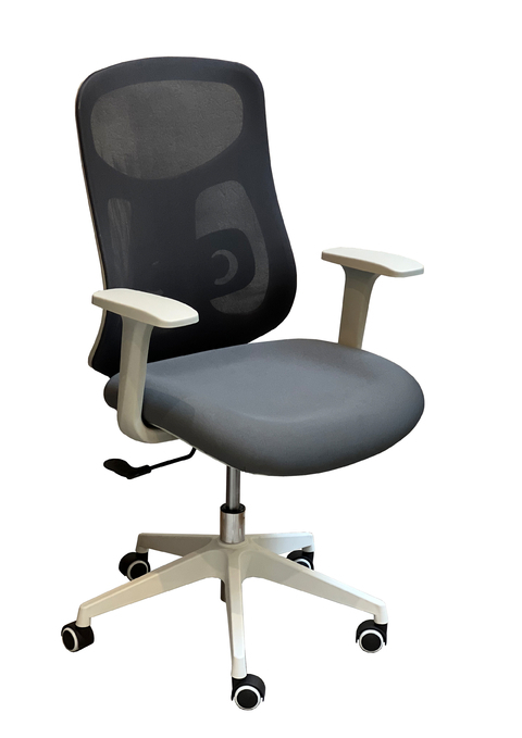 Silla Toulouse