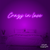 Neon Led Crazy in Love - Iluminação Neon LED - NeonCustom